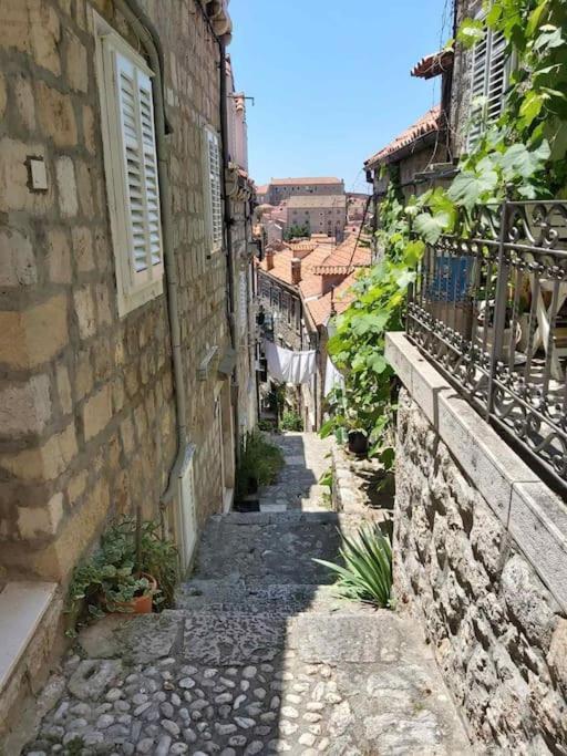Apartmán House Marija In Old Town Dubrovník Exteriér fotografie