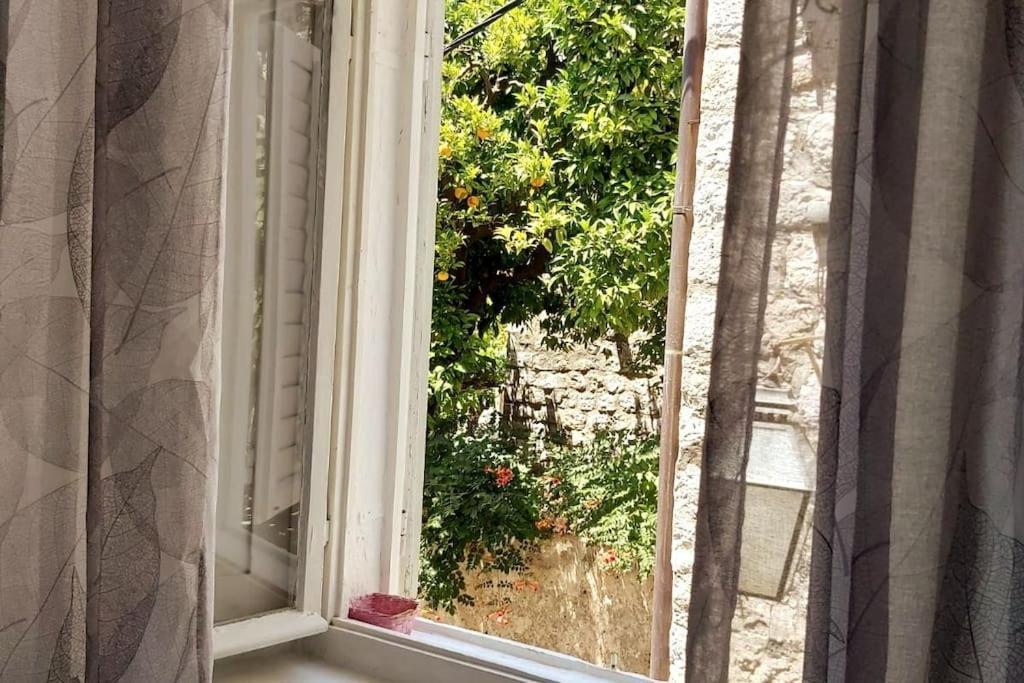 Apartmán House Marija In Old Town Dubrovník Exteriér fotografie