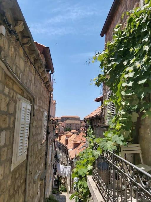 Apartmán House Marija In Old Town Dubrovník Exteriér fotografie