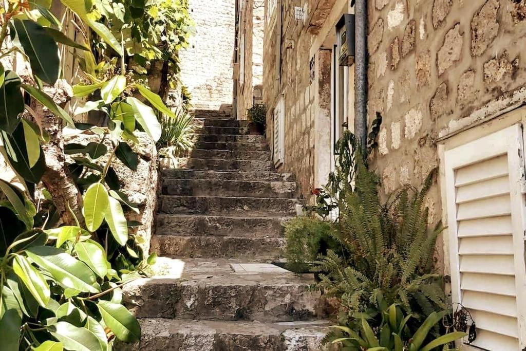 Apartmán House Marija In Old Town Dubrovník Exteriér fotografie